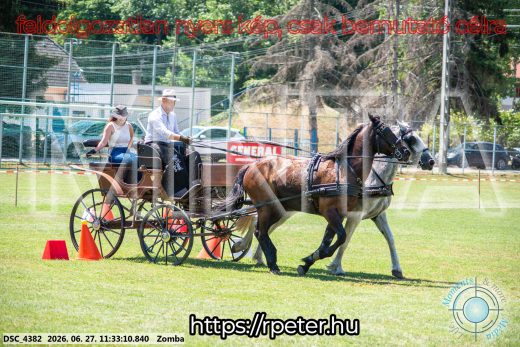 Mintakép 20260627-245