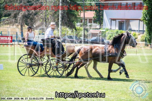 Mintakép 20260627-247