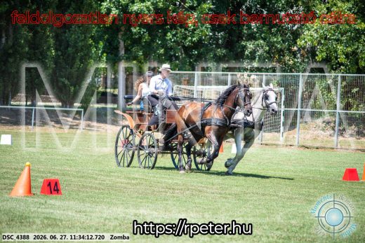 Mintakép 20260627-253