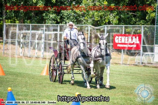 Mintakép 20260627-256