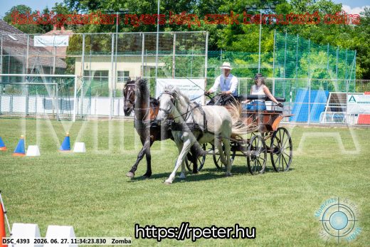 Mintakép 20260627-263