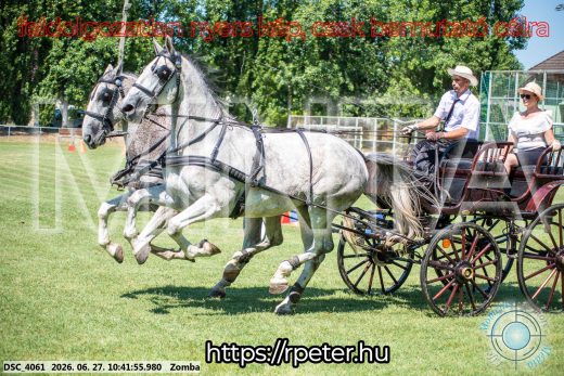 Mintakép 20260627-264
