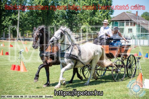 Mintakép 20260627-268
