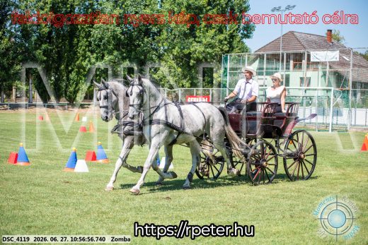 Mintakép 20260627-271