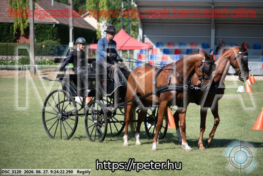 Mintakép 20260627-287