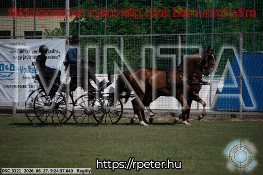 Mintakép 20260627-288