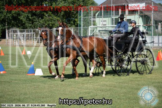 Mintakép 20260627-291