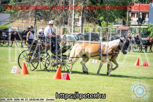 20260627-100240-DSC_3570.jpg