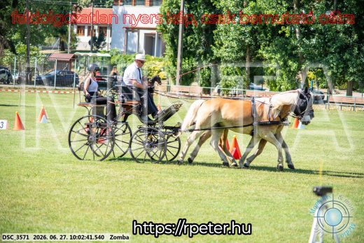 20260627-100241-DSC_3571.jpg