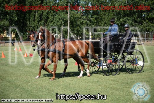 Mintakép 20260627-295