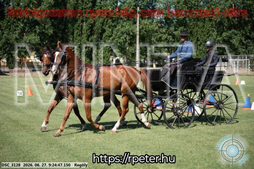 Mintakép 20260627-297