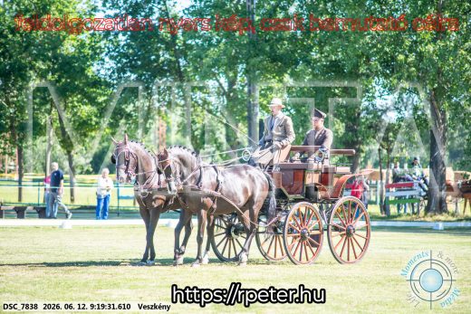 Mintakép 20260612-222
