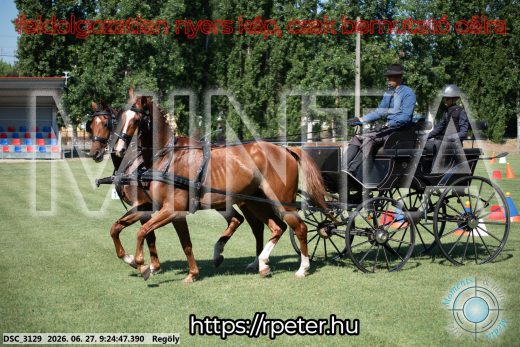 Mintakép 20260627-299