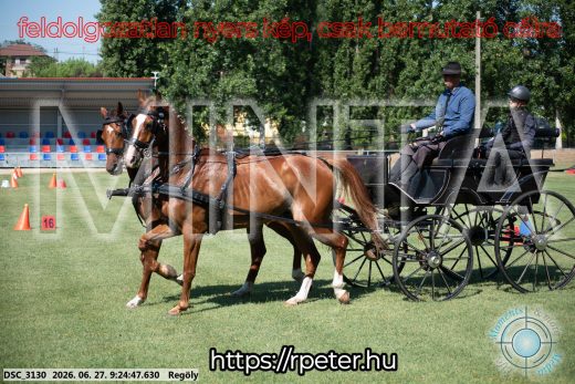Mintakép 20260627-300
