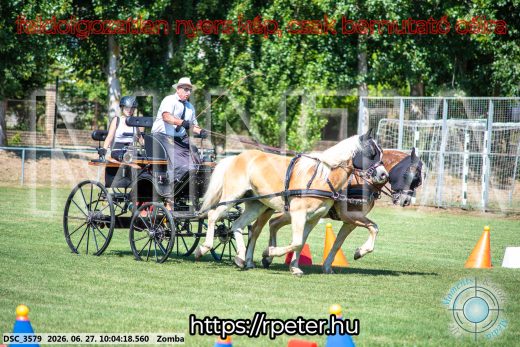 Mintakép 20260627-303