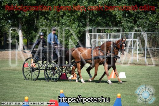 Mintakép 20260627-304