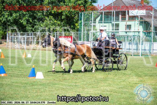 Mintakép 20260627-305