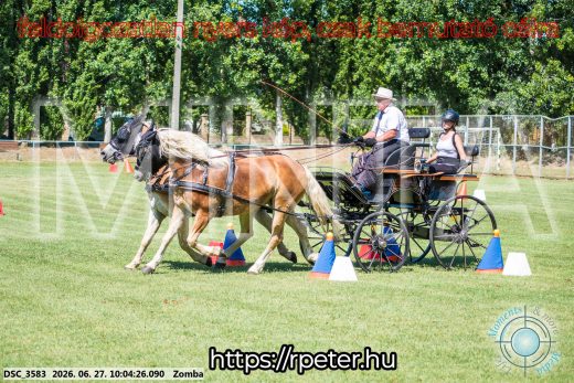 Mintakép 20260627-307