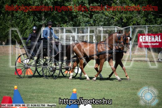 Mintakép 20260627-308