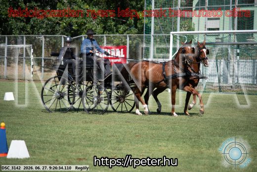 Mintakép 20260627-314