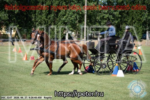 Mintakép 20260627-322