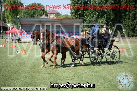 Mintakép 20260627-324
