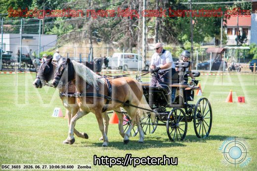 Mintakép 20260627-325