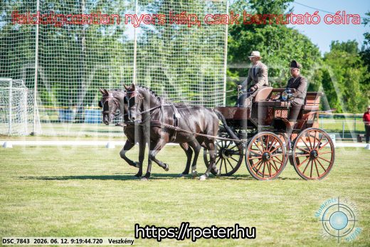 Mintakép 20260612-225