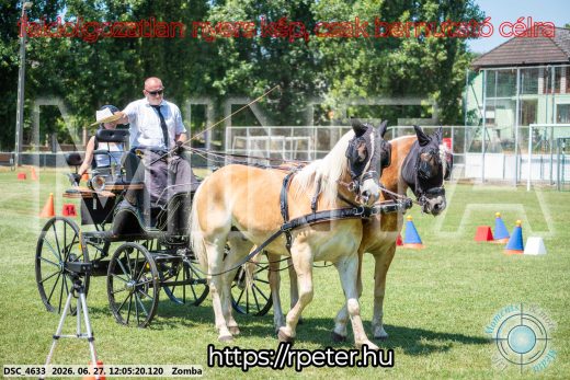 Mintakép 20260627-338
