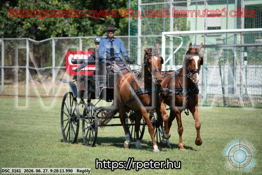 Mintakép 20260627-339