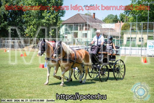 Mintakép 20260627-342