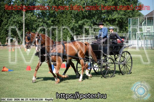 Mintakép 20260627-343