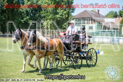 Mintakép 20260627-346