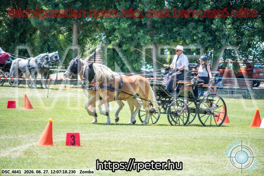 Mintakép 20260627-352