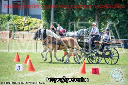 Mintakép 20260627-354