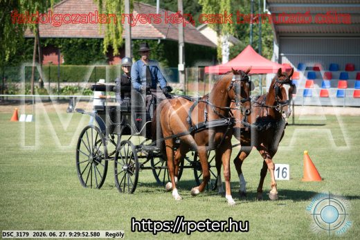 Mintakép 20260627-355
