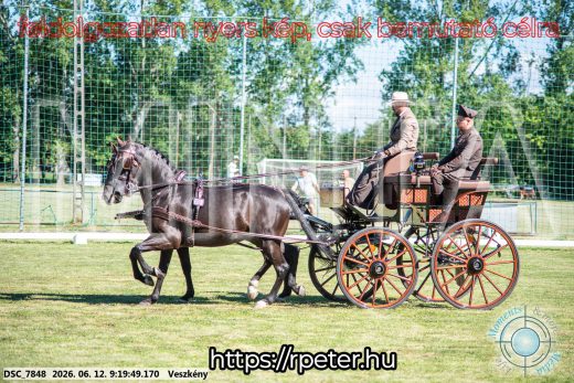 Mintakép 20260612-228