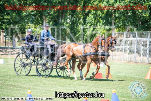 Mintakép 20260627-365