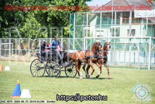 Mintakép 20260627-369