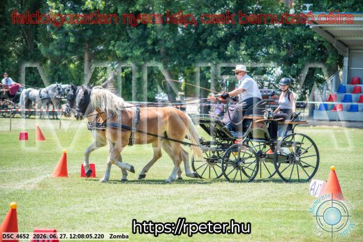 Mintakép 20260627-372