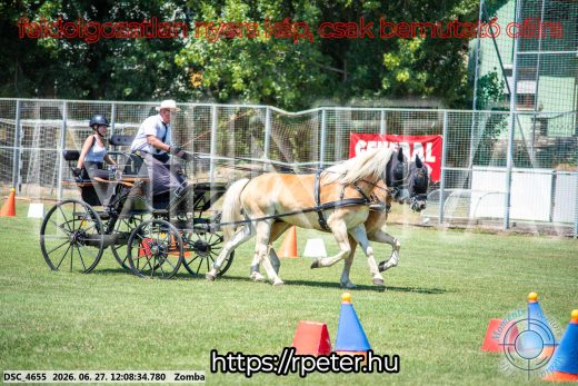 Mintakép 20260627-378