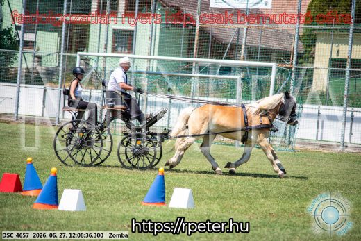 Mintakép 20260627-382