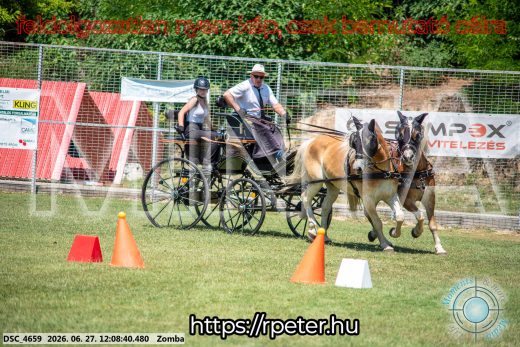 Mintakép 20260627-384