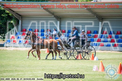 Mintakép 20260627-385
