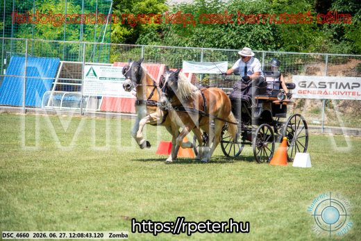 Mintakép 20260627-386