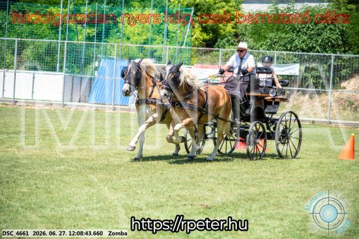 Mintakép 20260627-388