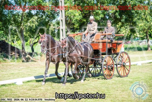 Mintakép 20260612-231