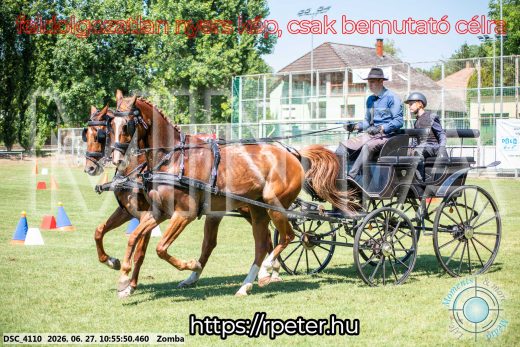 Mintakép 20260627-393