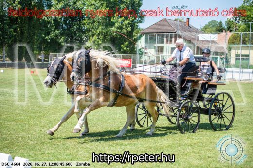 Mintakép 20260627-394