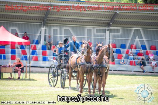 Mintakép 20260627-397